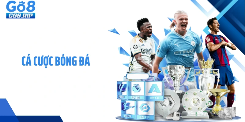 Cá Cược Bóng Đá