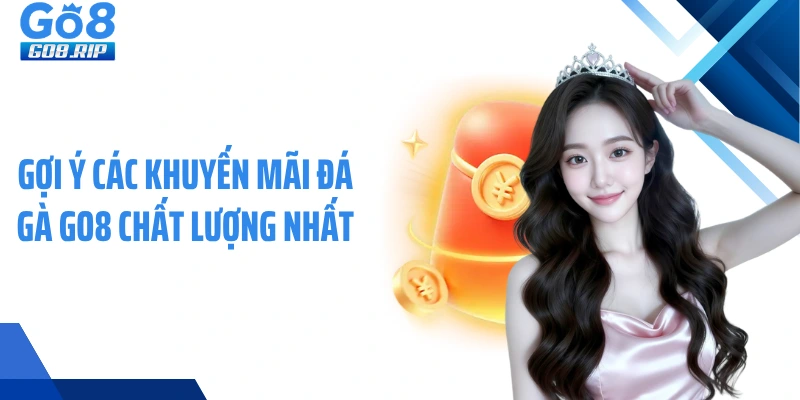 Gợi ý các khuyến mãi đá gà GO8 chất lượng nhất