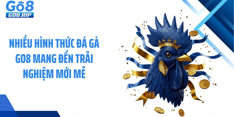 Nhiều hình thức đá gà GO8 mang đến trải nghiệm mới mẻ